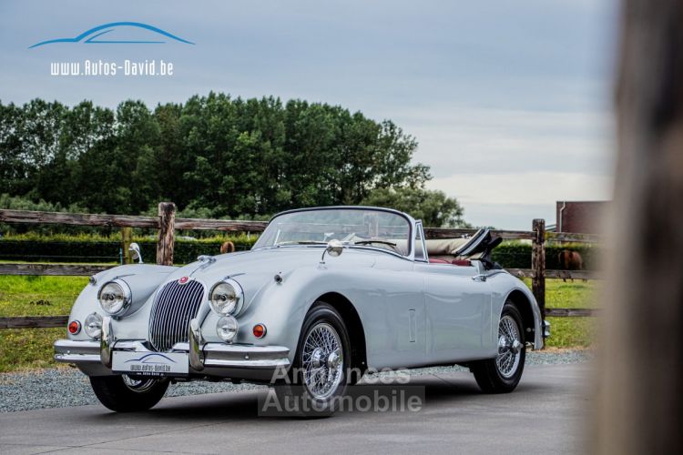 Jaguar XK150 XK 150 SE 3.8 DHC Cabrio Aut. - OLDTIMER - WINNER LE MANS - VOLLEDIG GERESTAUREERD - <small></small> 104.999 € <small>TTC</small> - #13