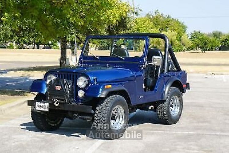 Jeep CJ5 CJ  - <small></small> 25.000 € <small>TTC</small> - #13