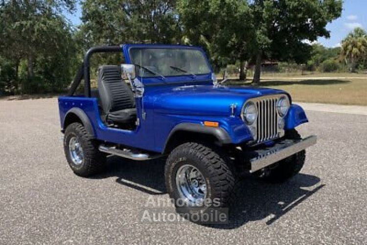 Jeep CJ5 CJ  - <small></small> 32.000 € <small>TTC</small> - #6