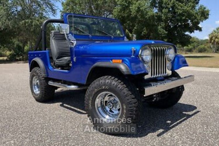 Jeep CJ5 CJ  - <small></small> 32.000 € <small>TTC</small> - #10