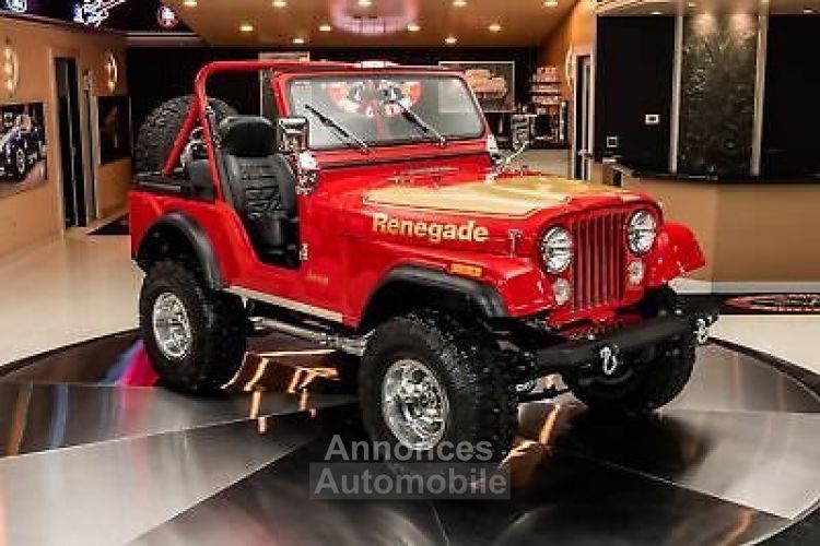 Jeep CJ5 CJ  - <small></small> 90.300 € <small>TTC</small> - #11