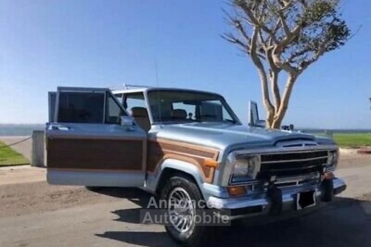 Jeep Wagoneer - <small></small> 25.000 € <small>TTC</small> - #14