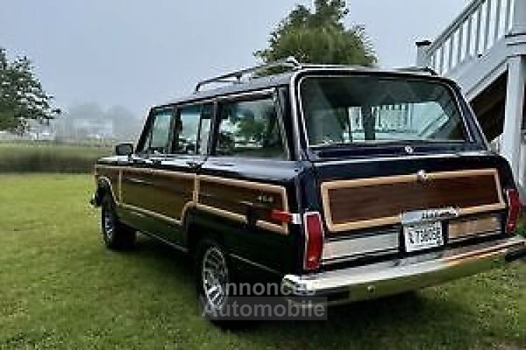 Jeep Wagoneer - <small></small> 37.100 € <small>TTC</small> - #8