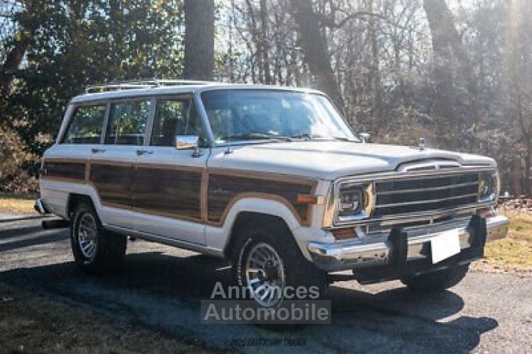 Jeep Wagoneer - <small></small> 43.400 € <small>TTC</small> - #12