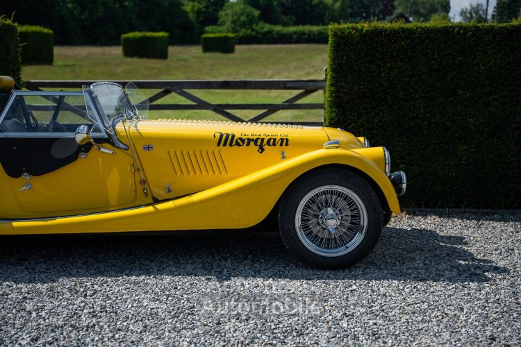 Morgan Plus 4 - <small></small> 49.800 € <small>TTC</small> - #10