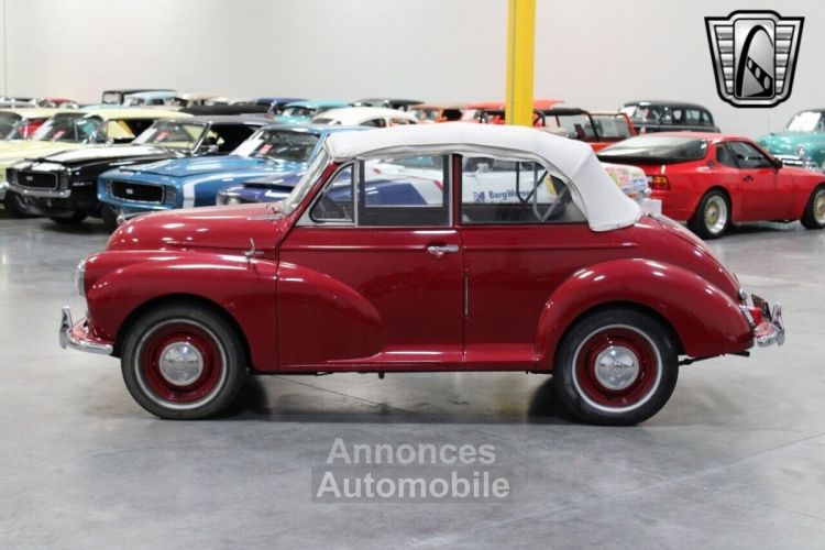 Morris Minor - <small></small> 18.300 € <small>TTC</small> - #8