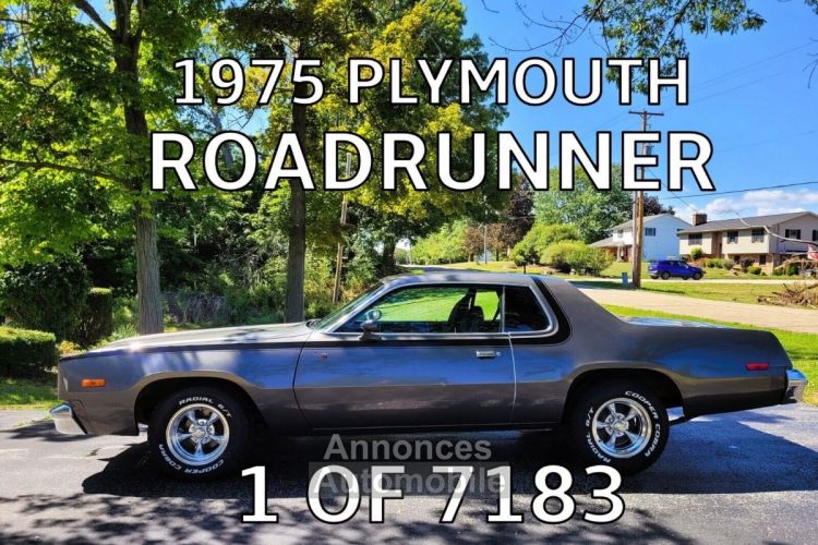 Plymouth Road runner - <small></small> 24.000 € <small>TTC</small> - #1