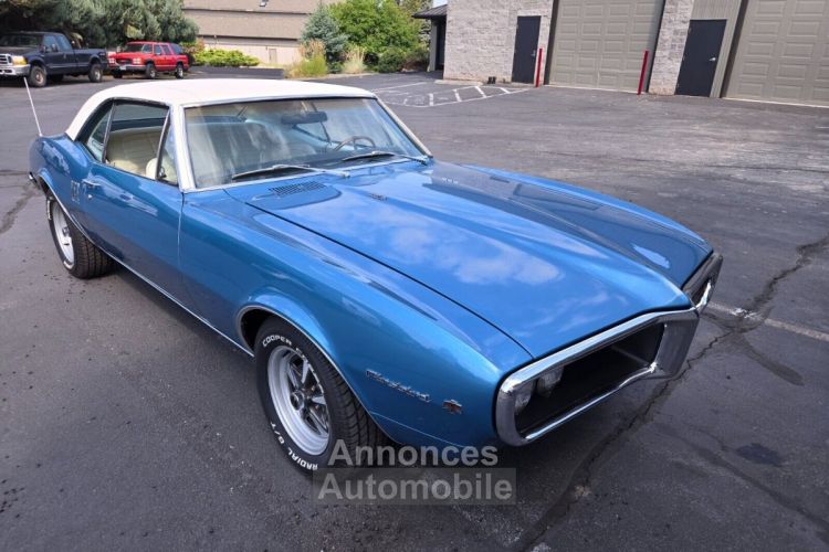 Pontiac Firebird - <small></small> 45.000 € <small>TTC</small> - #11