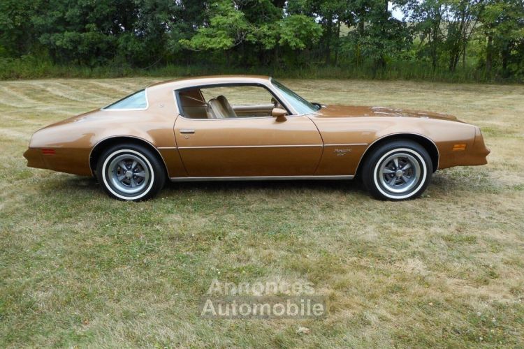 Pontiac Firebird - <small></small> 33.000 € <small>TTC</small> - #6