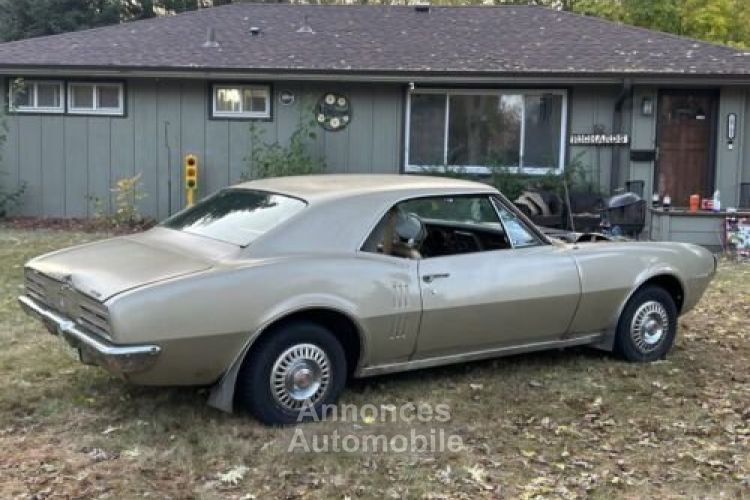 Pontiac Firebird - <small></small> 28.000 € <small>TTC</small> - #10