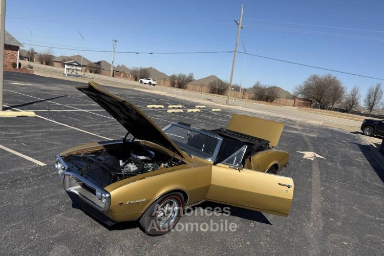 Pontiac Firebird  - <small></small> 39.300 € <small>TTC</small> - #13