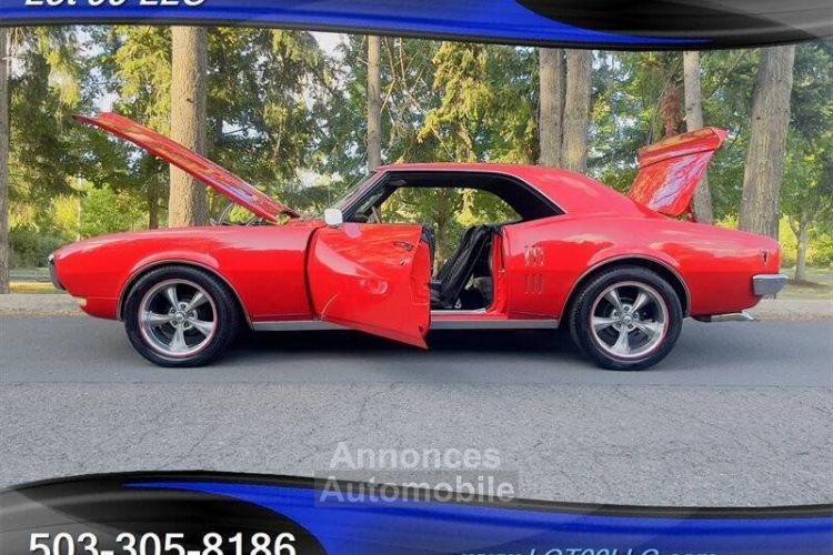 Pontiac Firebird new paint - in  - <small></small> 51.000 € <small>TTC</small> - #22