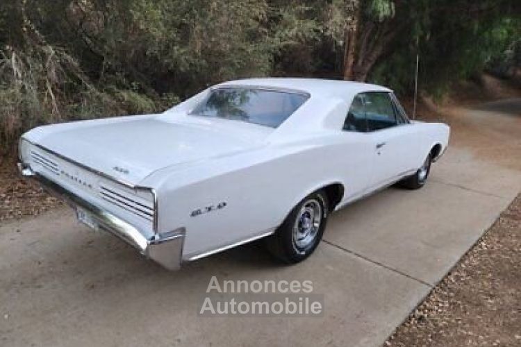 Pontiac GTO - <small></small> 57.000 € <small>TTC</small> - #7