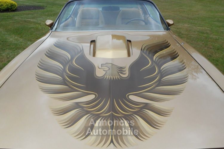 Pontiac Trans Am - <small></small> 75.000 € <small>TTC</small> - #8