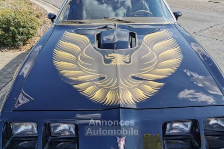 Pontiac Trans Am 6.6 V8 10 TH ANNIVERSARY - <small></small> 38.500 € <small>TTC</small> - #16