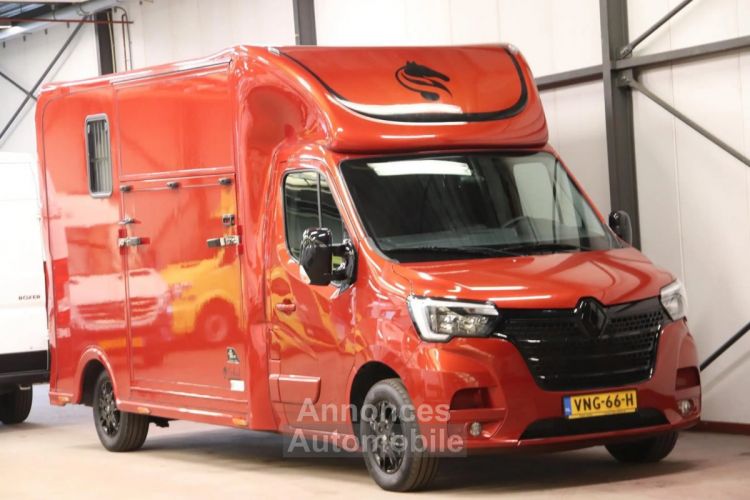 Renault Master 2022 T35 2.3 dCi 180 Paardenwagen PAARDENVERVOER HENGST - <small></small> 66.429 € <small>TTC</small> - #12