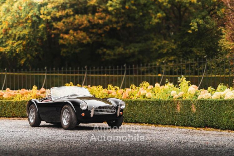 Shelby Cobra 289 CSX8... Street version - Prix sur Demande - #22