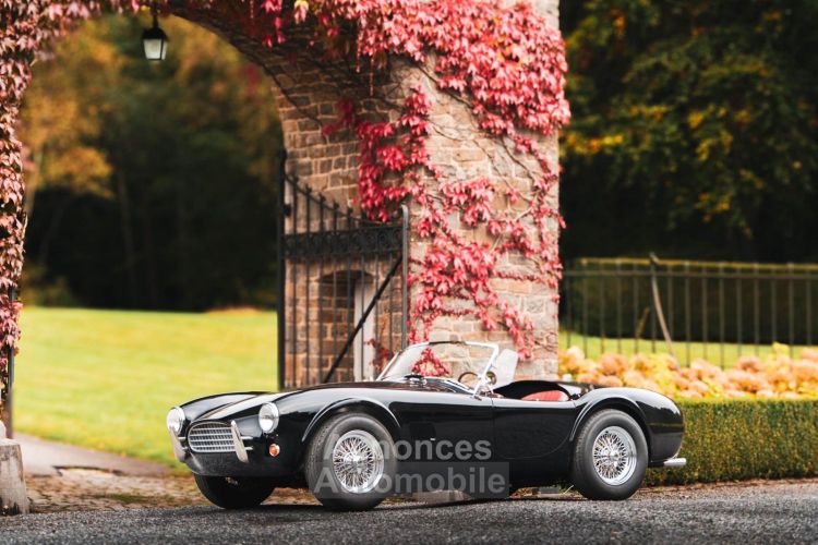 Shelby Cobra Shelby Cobra 289 CSX8... Street version - Prix sur Demande - #35