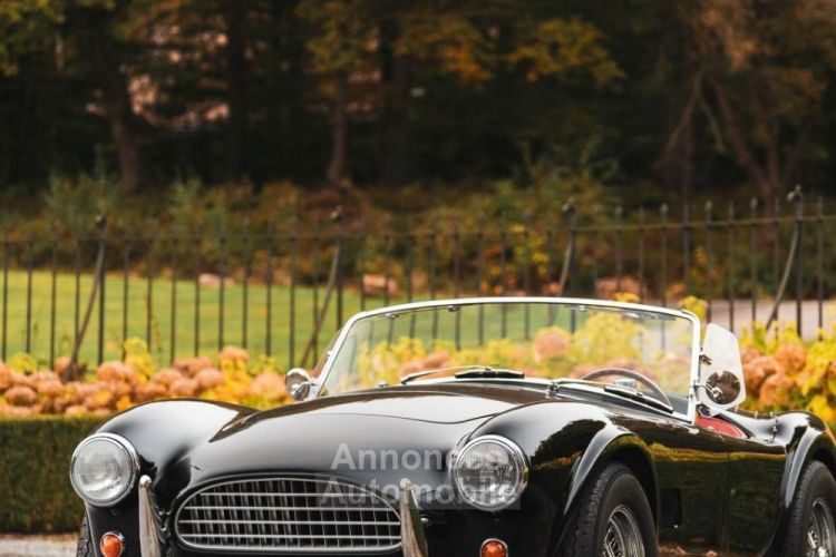 Shelby Cobra 289 CSX8... Street version - Prix sur Demande - #45