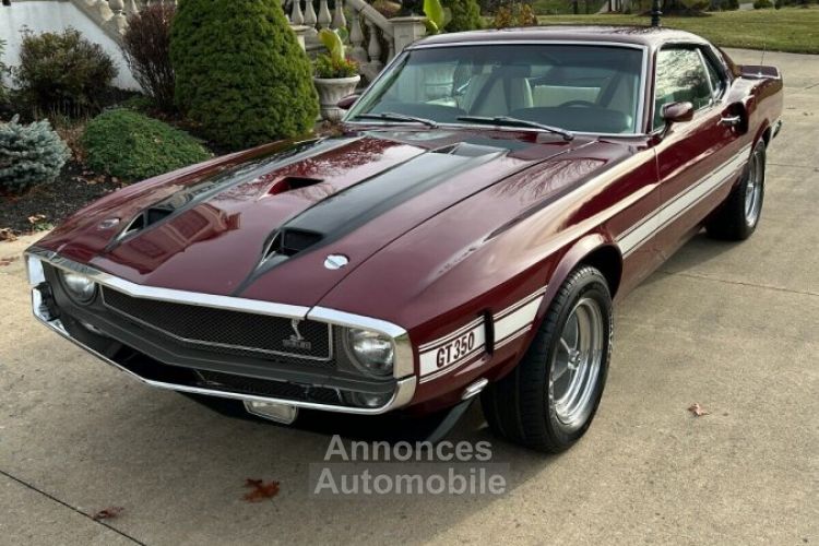 Shelby GT - <small></small> 111.000 € <small>TTC</small> - #1