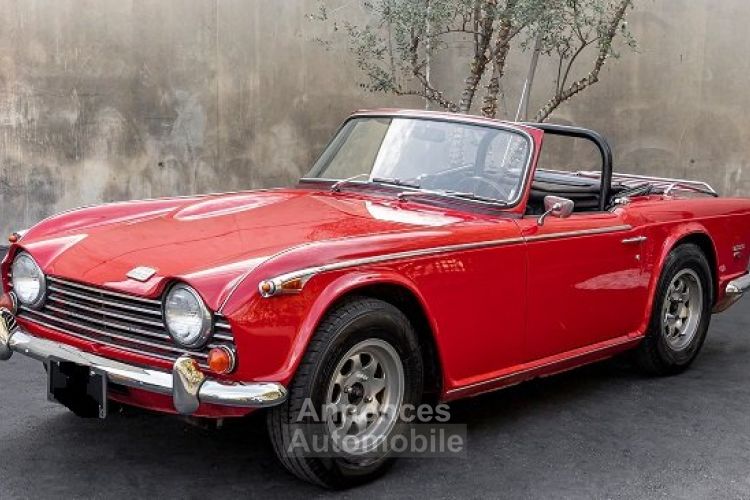 Triumph TR250 - <small></small> 32.500 € <small>TTC</small> - #5