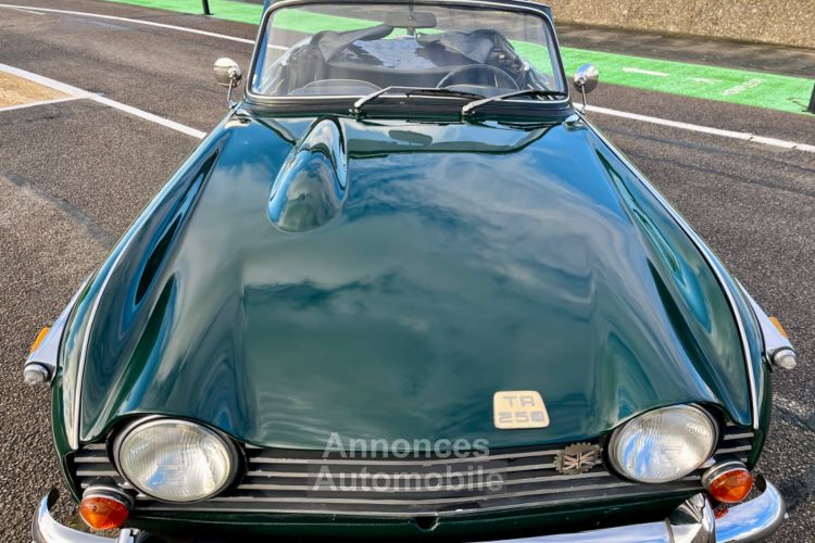 Triumph TR250 - <small></small> 35.900 € <small>TTC</small> - #5