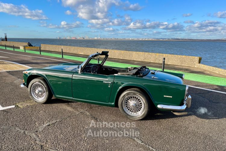 Triumph TR250 - <small></small> 35.900 € <small>TTC</small> - #18