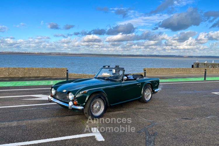 Triumph TR250 - <small></small> 35.900 € <small>TTC</small> - #19