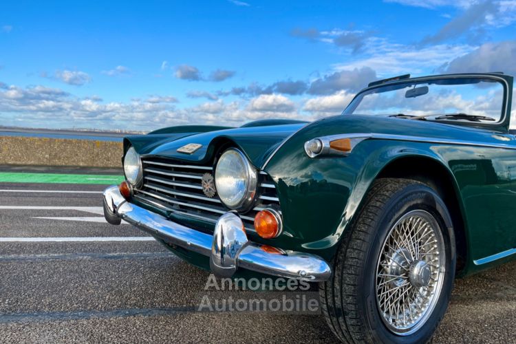 Triumph TR250 - <small></small> 35.900 € <small>TTC</small> - #20