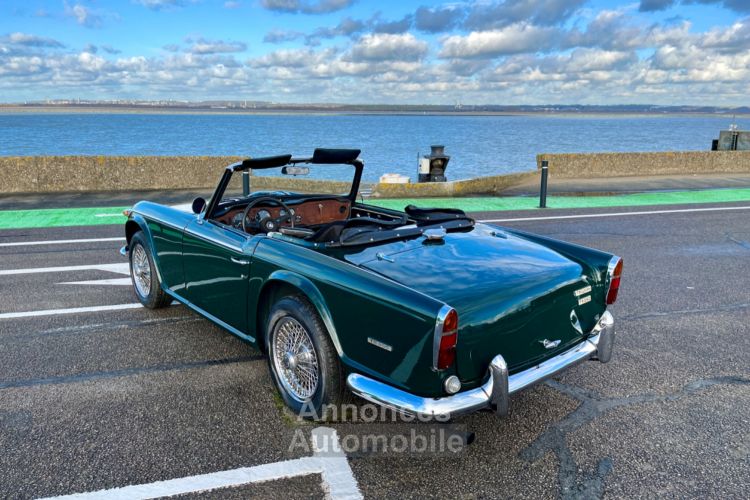 Triumph TR250 - <small></small> 35.900 € <small>TTC</small> - #24