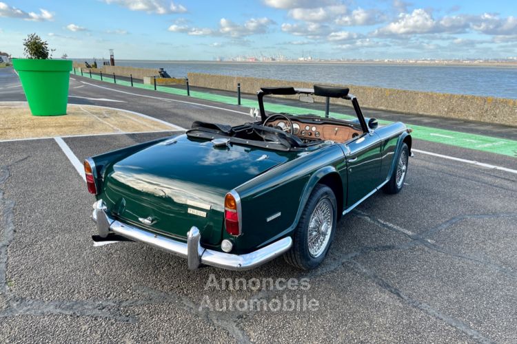 Triumph TR250 - <small></small> 35.900 € <small>TTC</small> - #25