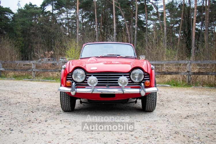 Triumph TR250 Overdrive 2.5L straight 6 with 111bhp - <small></small> 38.800 € <small>TTC</small> - #34