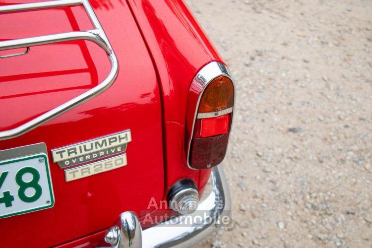 Triumph TR250 Overdrive 2.5L straight 6 with 111bhp - <small></small> 38.800 € <small>TTC</small> - #35