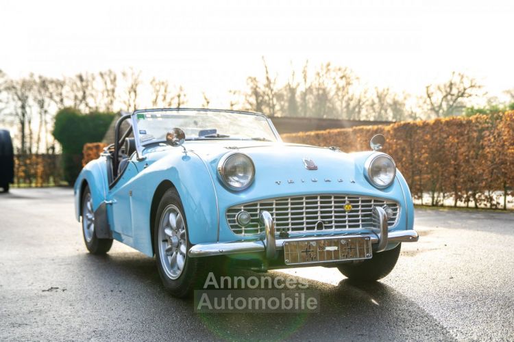 Triumph TR3 - 1958 - <small></small> 39.500 € <small>TTC</small> - #14