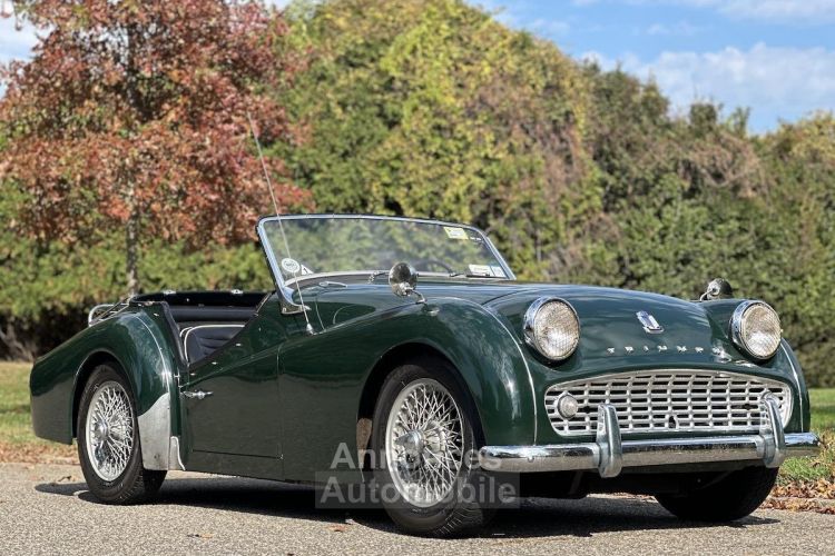 Triumph TR3 - <small></small> 32.000 € <small>TTC</small> - #20