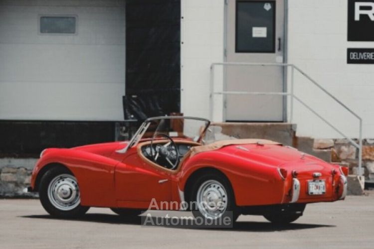 Triumph TR3 - <small></small> 26.000 € <small>TTC</small> - #6