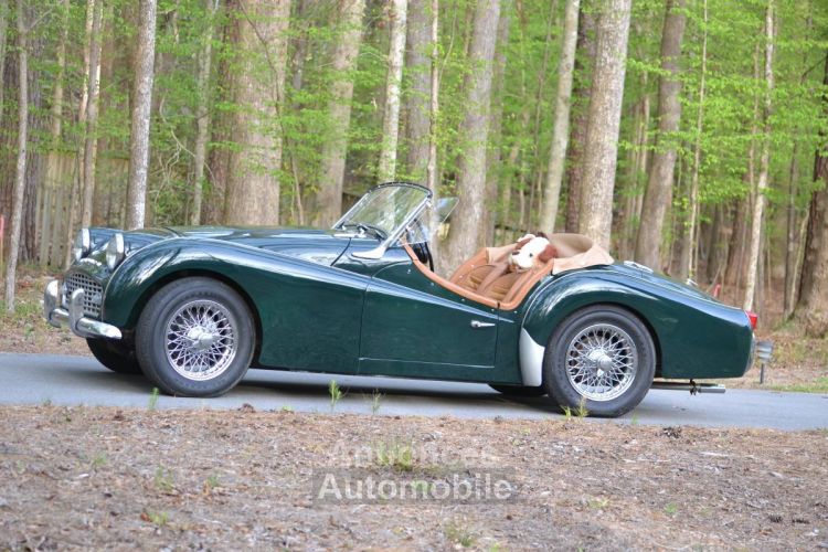 Triumph TR3 - <small></small> 31.000 € <small>TTC</small> - #1