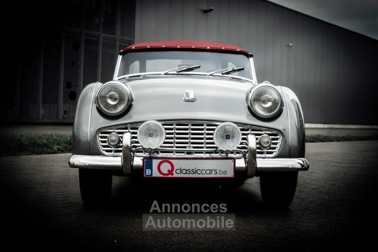 Triumph TR3 B - <small></small> 45.000 € <small>TTC</small> - #6