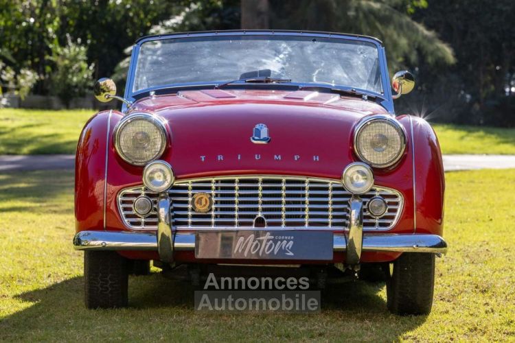 Triumph TR3 B TCF - <small></small> 41.990 € <small>TTC</small> - #10