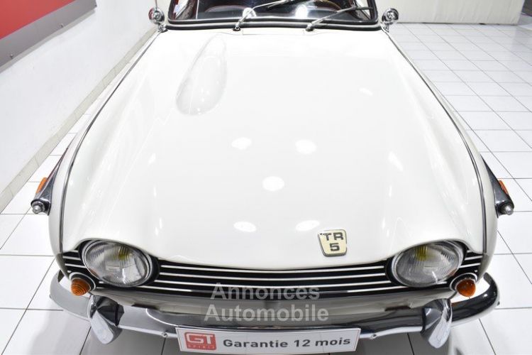 Triumph TR5 PI - <small></small> 59.900 € <small>TTC</small> - #13