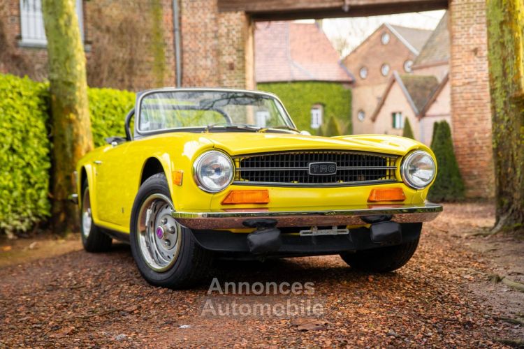 Triumph TR6 - 1973 - <small></small> 24.500 € <small>TTC</small> - #6