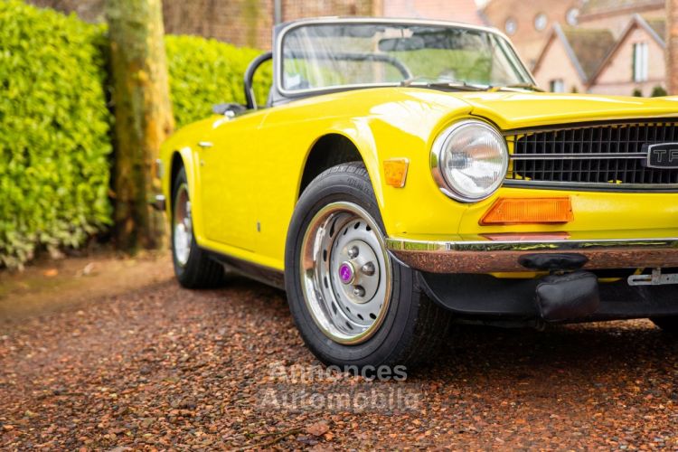 Triumph TR6 - 1973 - <small></small> 24.500 € <small>TTC</small> - #8