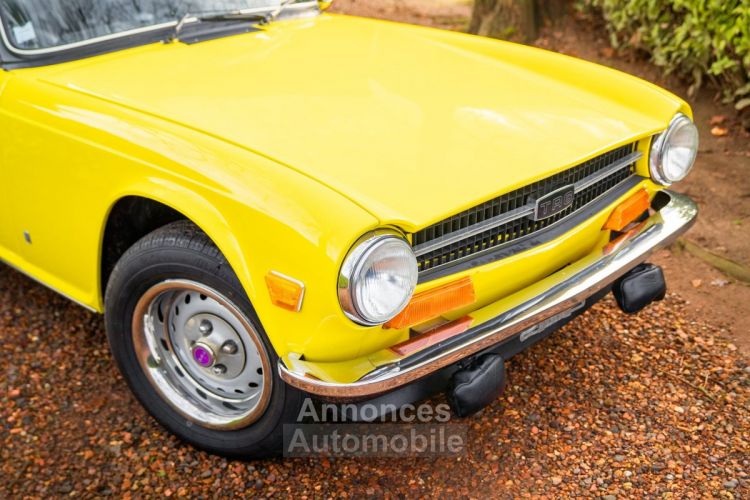 Triumph TR6 - 1973 - <small></small> 24.500 € <small>TTC</small> - #9