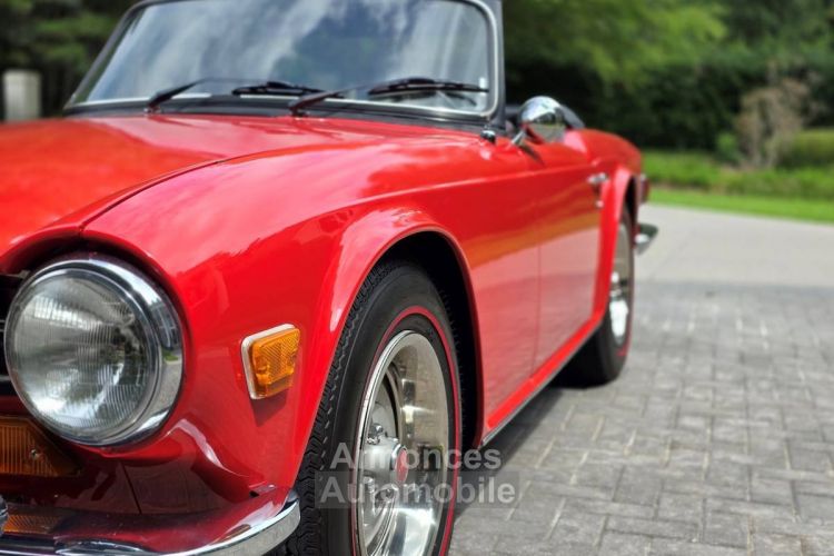 Triumph TR6 - <small></small> 50.000 € <small>TTC</small> - #3