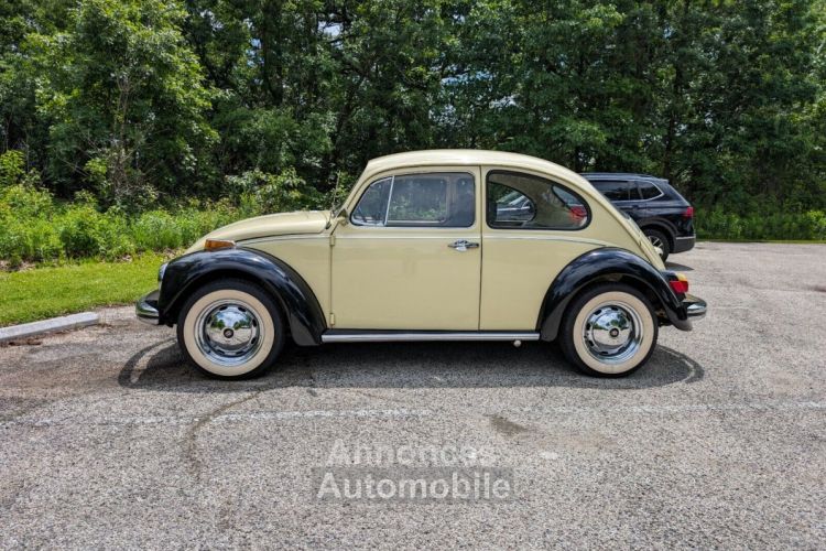 Volkswagen Beetle - Classic  - <small></small> 18.000 € <small>TTC</small> - #2