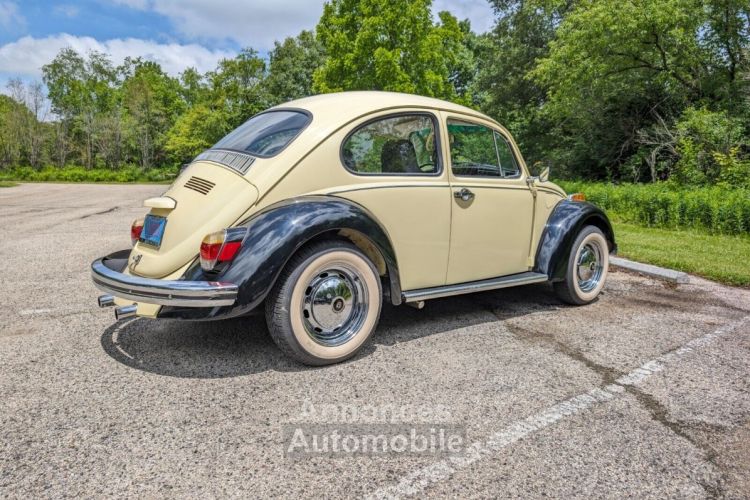 Volkswagen Beetle - Classic  - <small></small> 18.000 € <small>TTC</small> - #4