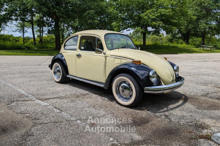 Volkswagen Beetle - Classic  - <small></small> 18.000 € <small>TTC</small> - #5