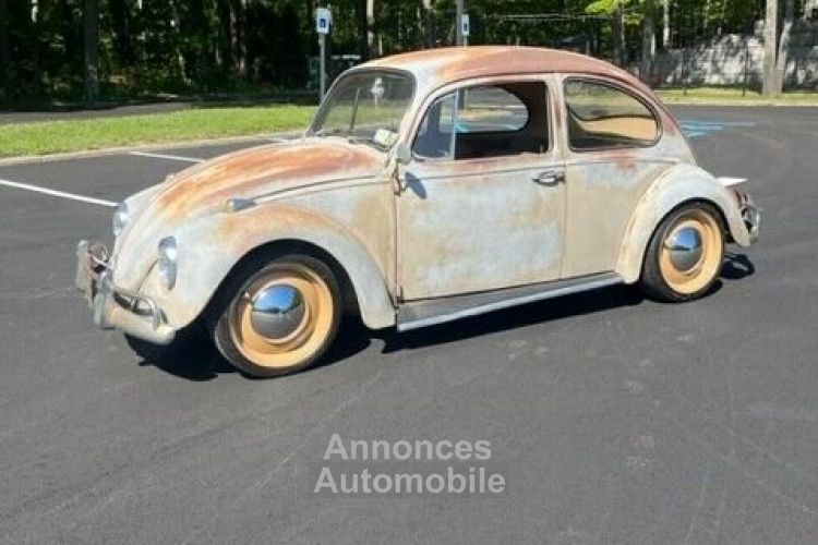 Volkswagen Beetle - Classic  - <small></small> 20.000 € <small>TTC</small> - #8