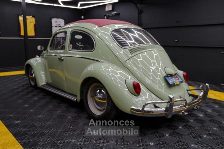 Volkswagen Beetle - Classic  - <small></small> 30.000 € <small>TTC</small> - #5