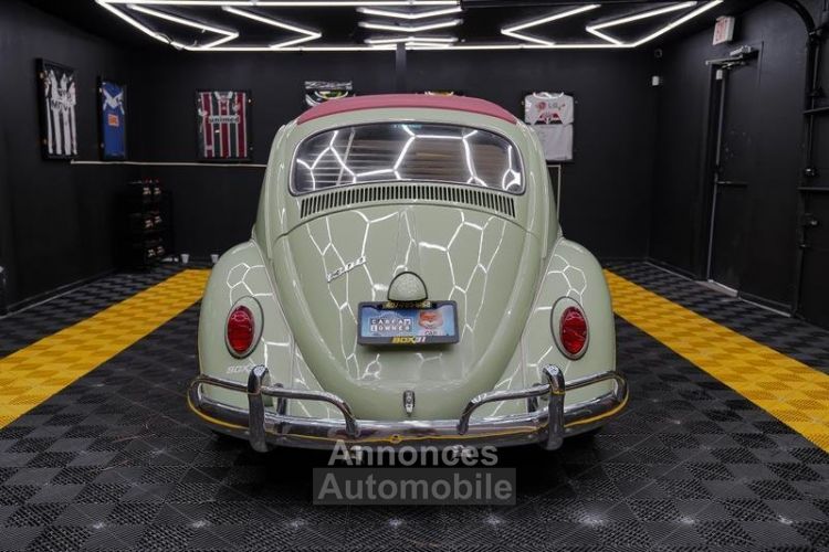 Volkswagen Beetle - Classic  - <small></small> 30.000 € <small>TTC</small> - #6